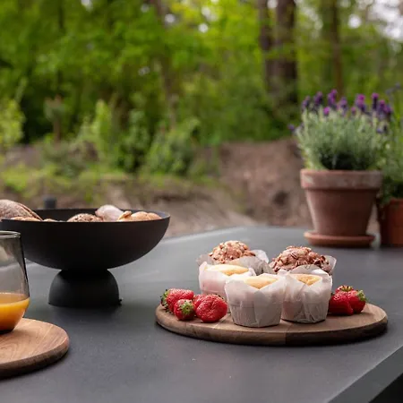 Luxe Koekoek Veluwe * נונספייט