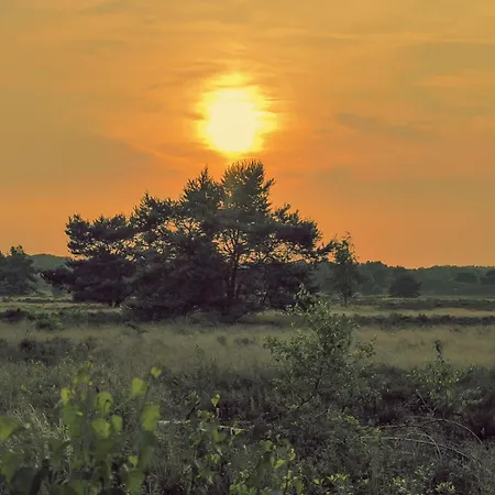 Luxe Koekoek Veluwe *